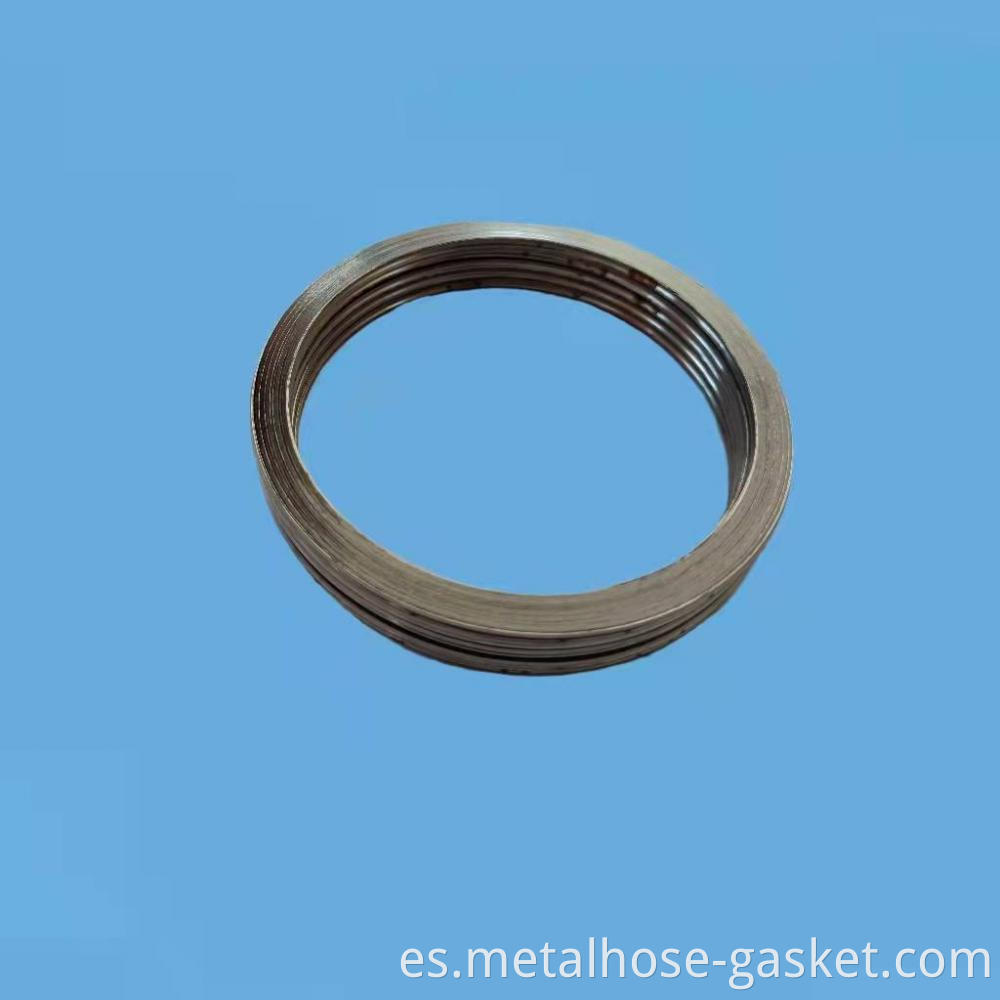 Basic graphite wound gasket